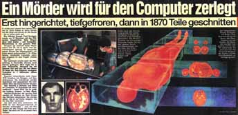 Zeitungsauschnitt vom 1.2.1995, BILD-Hamburg