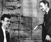 WATSON and CRICK