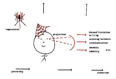 Arachnoid Projection